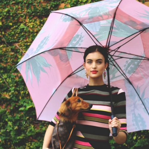 A woman with a dachshund in a hand bag holds a large rain umbrella with a pink and green cactus print. The black hardware can be seen.