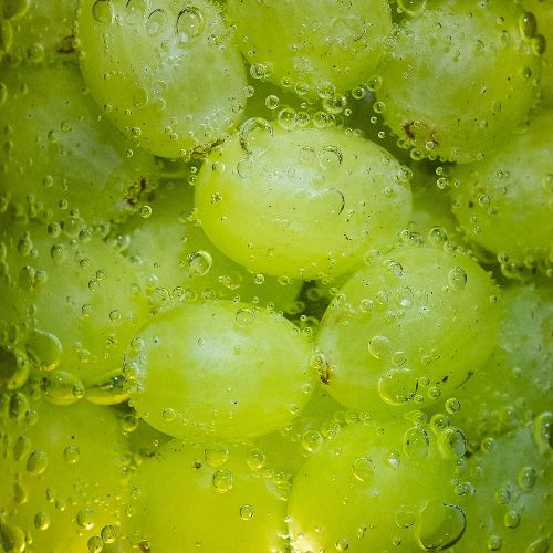 Close up of green grapes in fizzy liquid